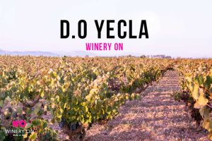 un vino de yecla