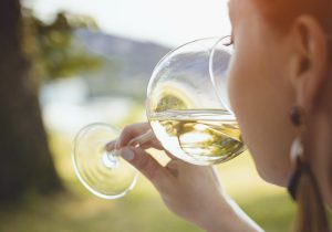 fases de una cata -bebiendo vino