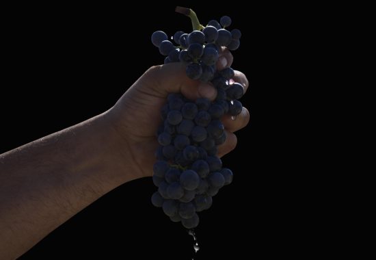 UVA Monastrell DEMUERTE