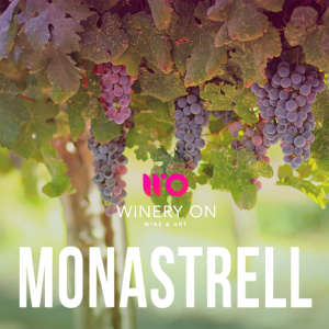 uva monastrell
