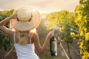 Consejos para beber vino este verano