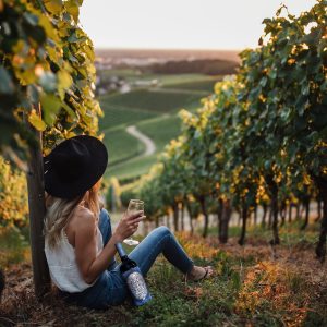 Previsiones para una transformación del sector del vino en 2026